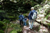 樹海ネイチャーツアー