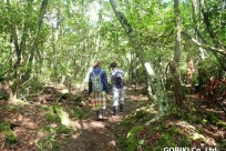 樹海ネイチャーツアー