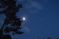 星のや富士様（ナイトライトウォッチング）