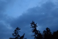 星のや富士様（ナイトライトウォッチング）