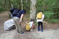 樹海ネイチャーツアー