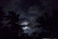 星のや富士様（ナイトライトウォッチング）