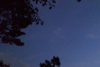 星のや富士様（ナイトライトウォッチング）