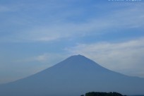 樹海ネイチャーツアー