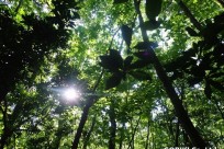 樹海ネイチャーツアー