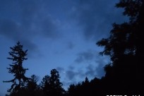 星のや富士様（ナイトライトウォッチング）