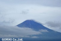 樹海ネイチャーツアー