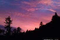 星のや富士様（ナイトライトウォッチング）