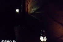 星のや富士様（ナイトライトウォッチング）