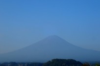 樹海ネイチャーツアー
