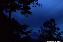 星のや富士様「ナイトライトウォッチング」