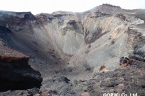 日本環境マネジメント㈱様（富士登山研修）