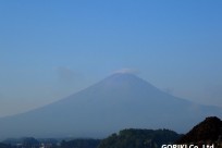 樹海ネイチャーツアー
