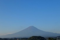 樹海ネイチャーツアー
