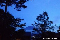 星のや富士様「ナイトライトウォッチング」