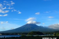樹海ネイチャーツアー