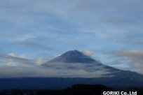樹海ネイチャーツアー