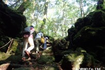 樹海ネイチャーツアー