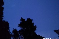 星のや富士様（ナイトライトウォッチング）