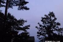 星のや富士様「ナイトライトウォッチング」