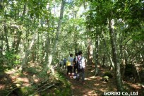 樹海ネイチャーツアー
