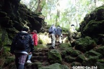 樹海ネイチャーツアー