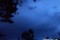 星のや富士様「ナイトライトウォッチング」