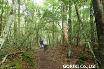 樹海ネイチャーツアー