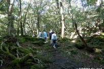 樹海ネイチャーツアー