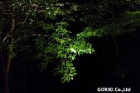 星のや富士様「ナイトライトウォッチング」