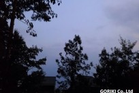 星のや富士様（ナイトライトウォッチング）