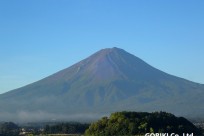 樹海ネイチャーツアー
