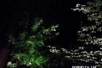 星のや富士様「ナイトライトウォッチング」