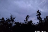 星のや富士様「ナイトライトウォッチング」