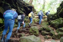 樹海ネイチャーツアー