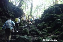 樹海ネイチャーツアー