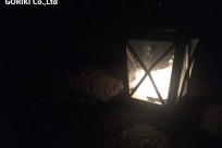 星のや富士様（ナイトライトウォッチング）