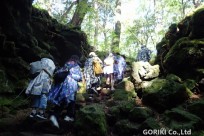 樹海ネイチャーツアー