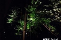 星のや富士様「ナイトライトウォッチング」