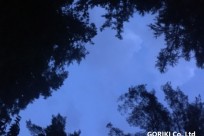 星のや富士様（ナイトライトウォッチング）