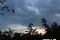 星のや富士様（ナイトライトウォッチング）