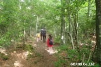 樹海ネイチャーツアー