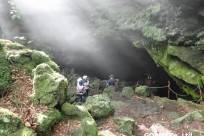 樹海ネイチャーツアー