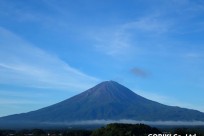 樹海ネイチャーツアー