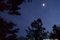 星のや富士様「ナイトライトウォッチング」