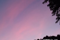 星のや富士様「ナイトライトウォッチング」