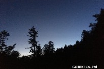 星のや富士様「ナイトライトウォッチング」