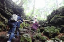 樹海ネイチャーツアー