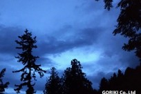 星のや富士様「ナイトライトウォッチング」