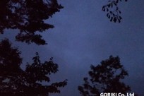 星のや富士様「ナイトライトウォッチング」